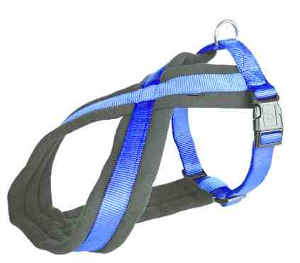Arnés Premium acolchado, M-L: 50–90 cm/25 mm, azul